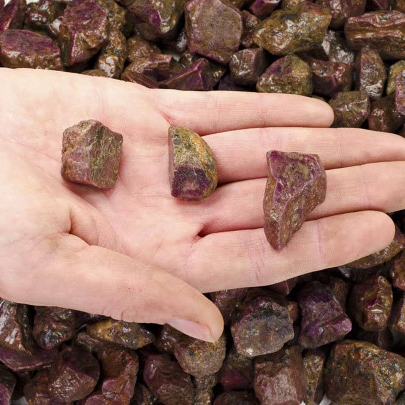 Fantasia Mining – wholesale Andlig sten/kristall – Grov korund Ruby HG - Indien - Råa naturstenar (1 lb)1