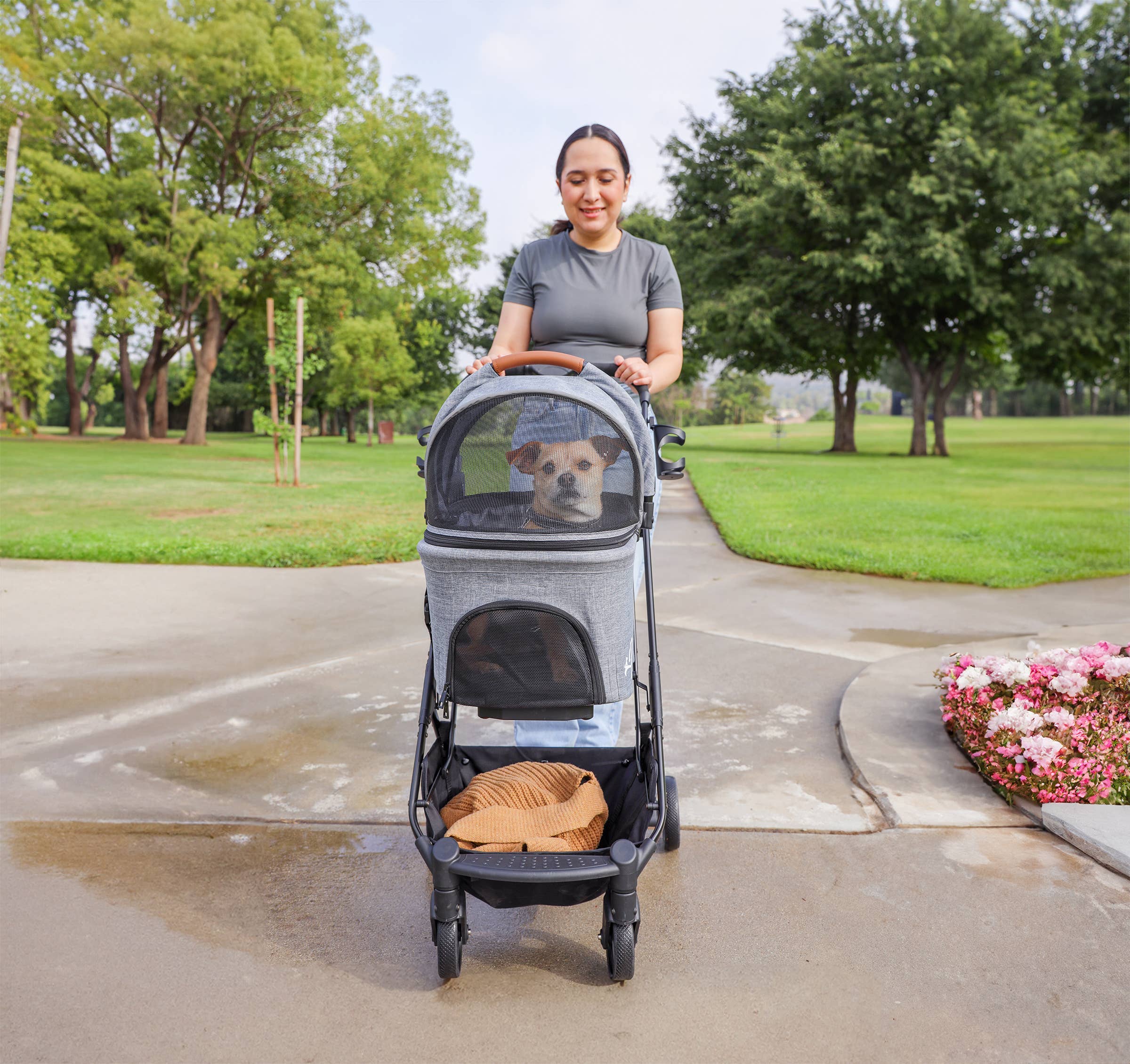 Only An Ocean Europe – wholesale Transportbur – Katt och hund – Petique 3-i-1 resesulky för husdjur med tri-fold design11