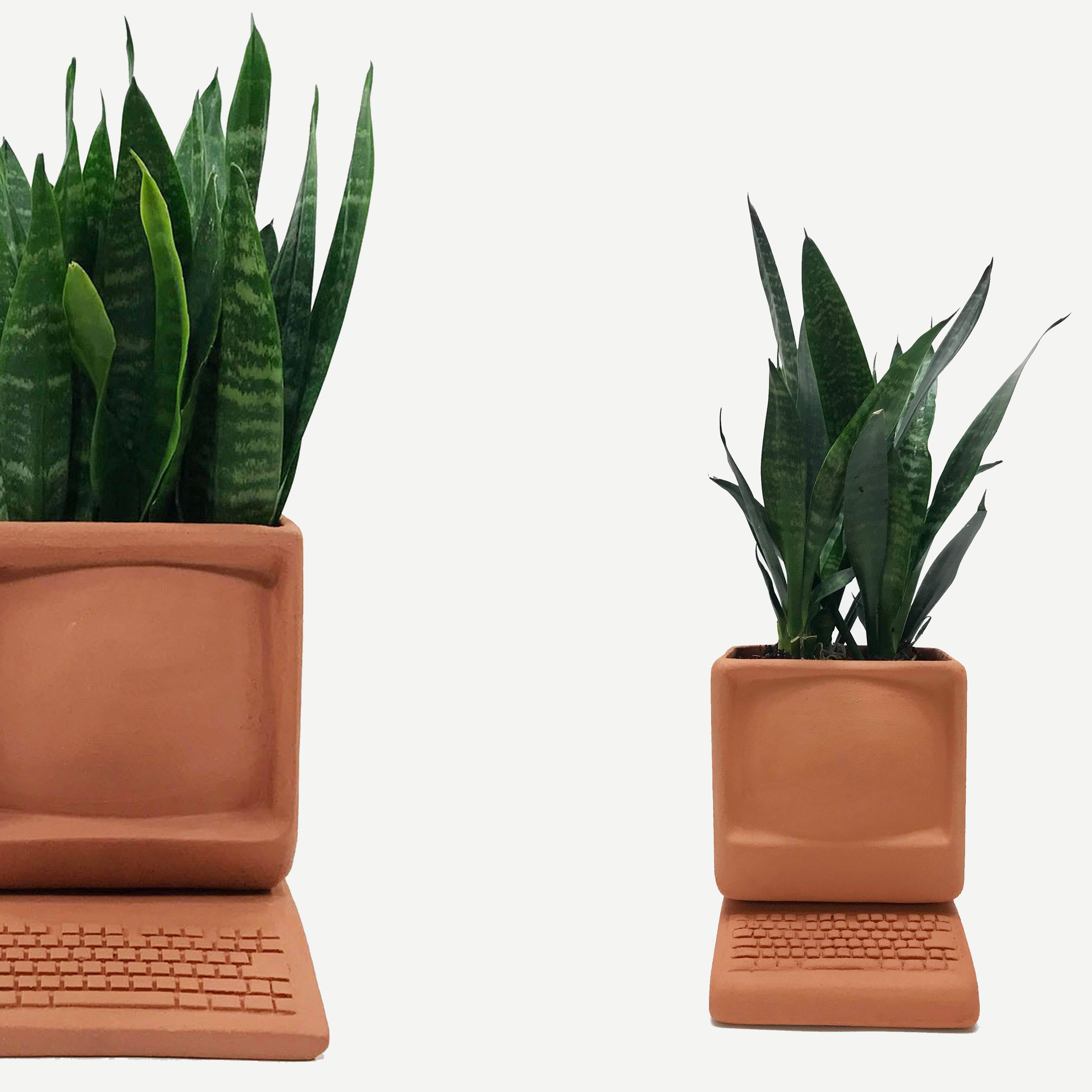Wyatt Little - Wholesale Plant Pot - Large Computer Planter3