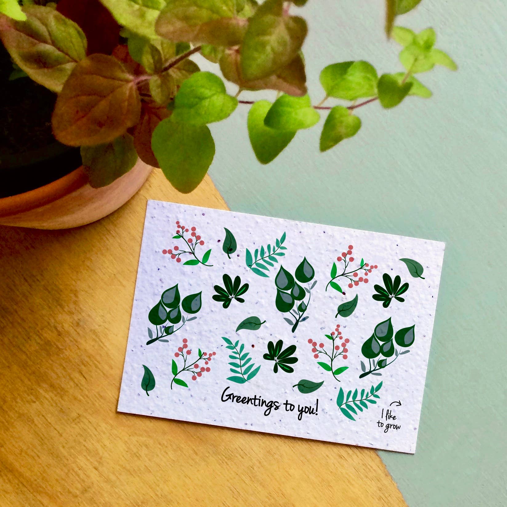 BLOOM your message - Vendita all'ingrosso Semi di piante - Set di 60 cartoline piantabili con semi di fiori selvatici4