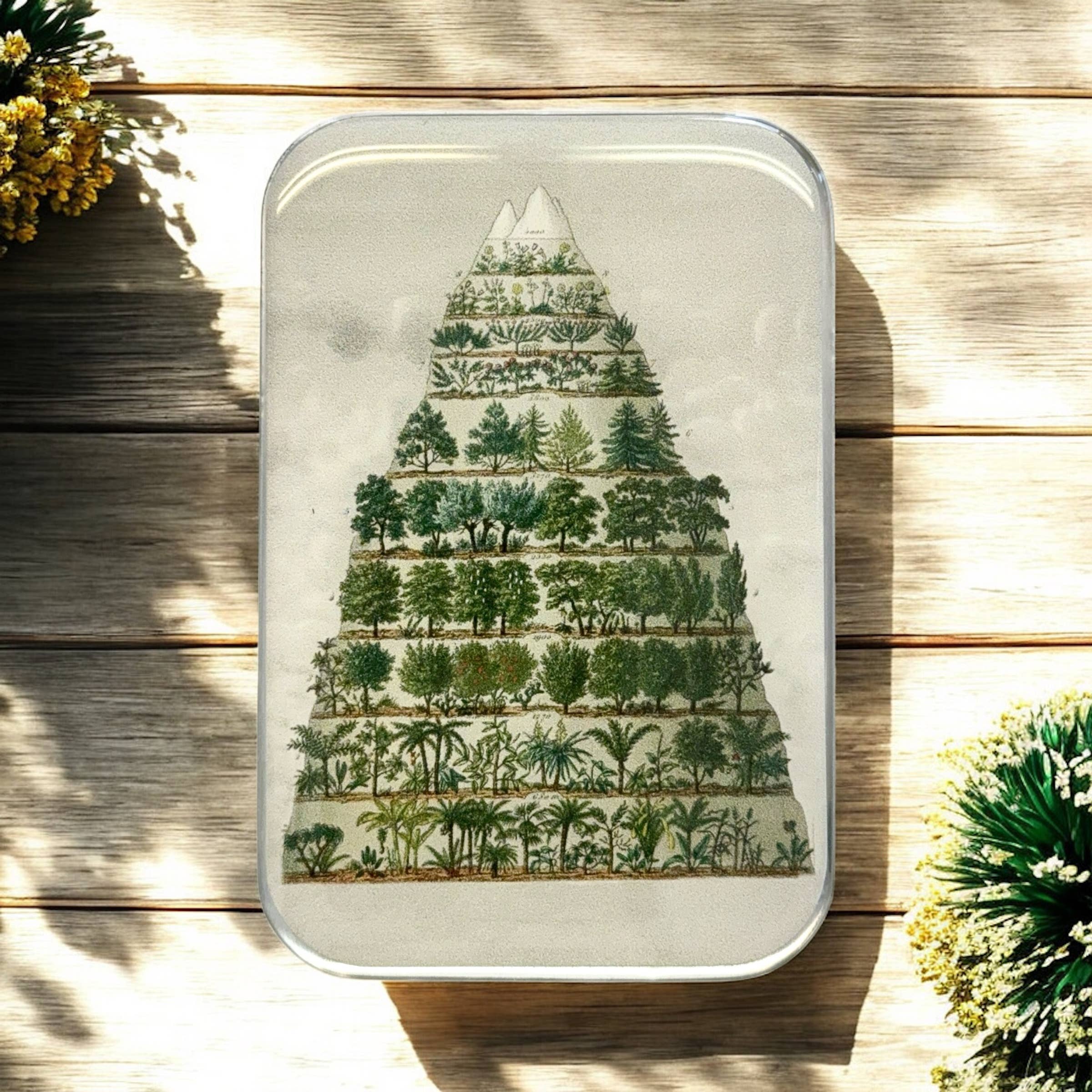 Firefly Notes - Venta al por mayor Cajas decorativas - Lata grande con resina manual Nature Meets Nostalgia0