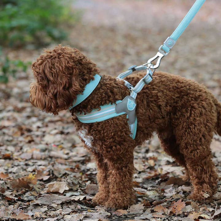 Hugo & Hudson Mesh Collar and other Purchase Wholesale hugo and hudson. Free Returns & Net 60 Terms on Faire trending on Faire.