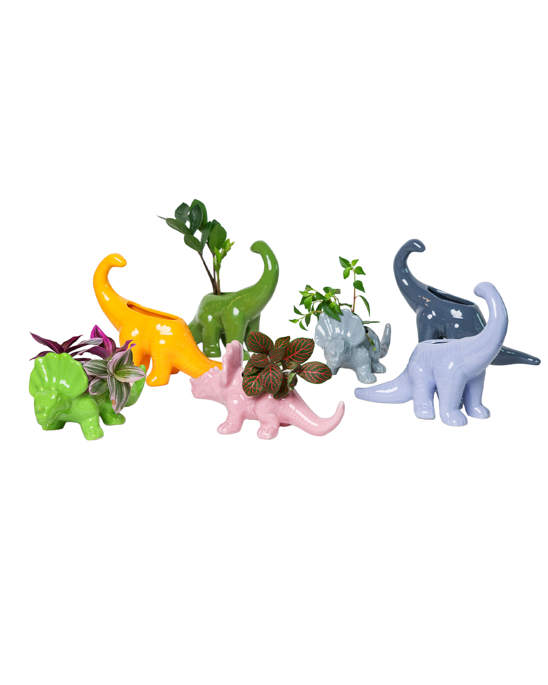  pc Assortment  Dinosaur Ceramic Indoor Plant Pot Kits for wholesale on Faire0