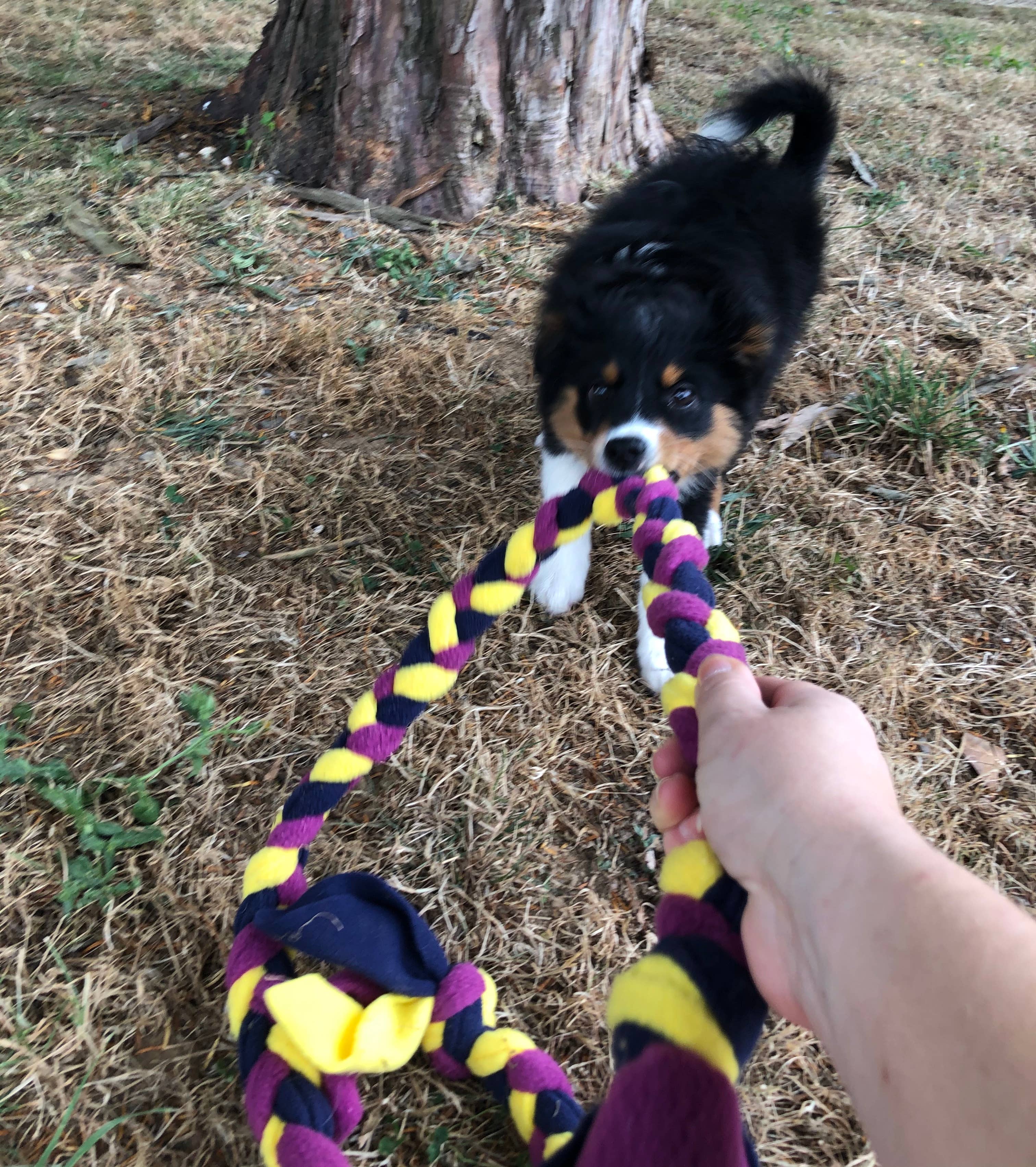 TUGS DE WOUFS EN FOLIE - Wholesale Pet Rope Toy - Dog - Fleece long braid tug for dog2