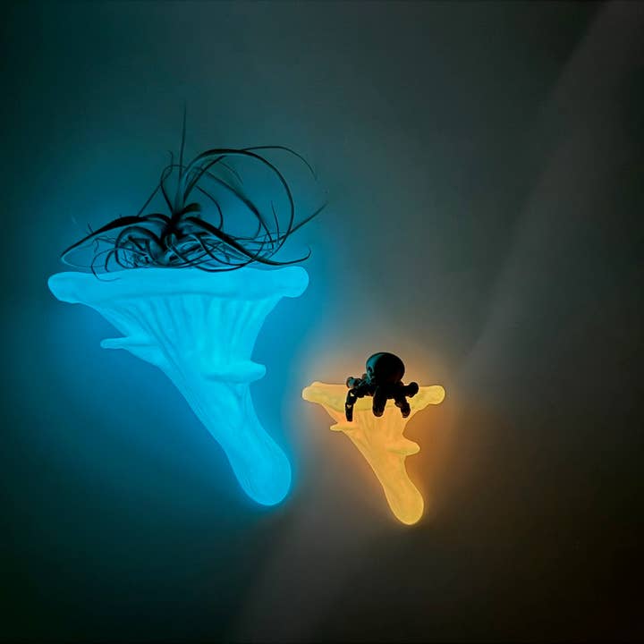 Oyster Glowing Fungi Floating Shelf | Unique Home Decor That Glows In The Dark for wholesale by Brehmwood Creative