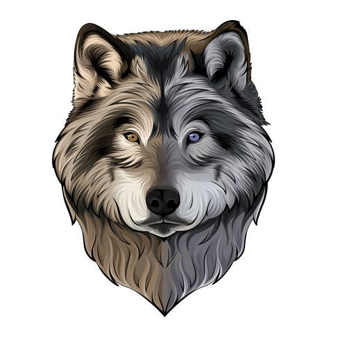 Wolf Face Die Cut Sticker - Set of 50 stickers for wholesale by Aurora Stickers