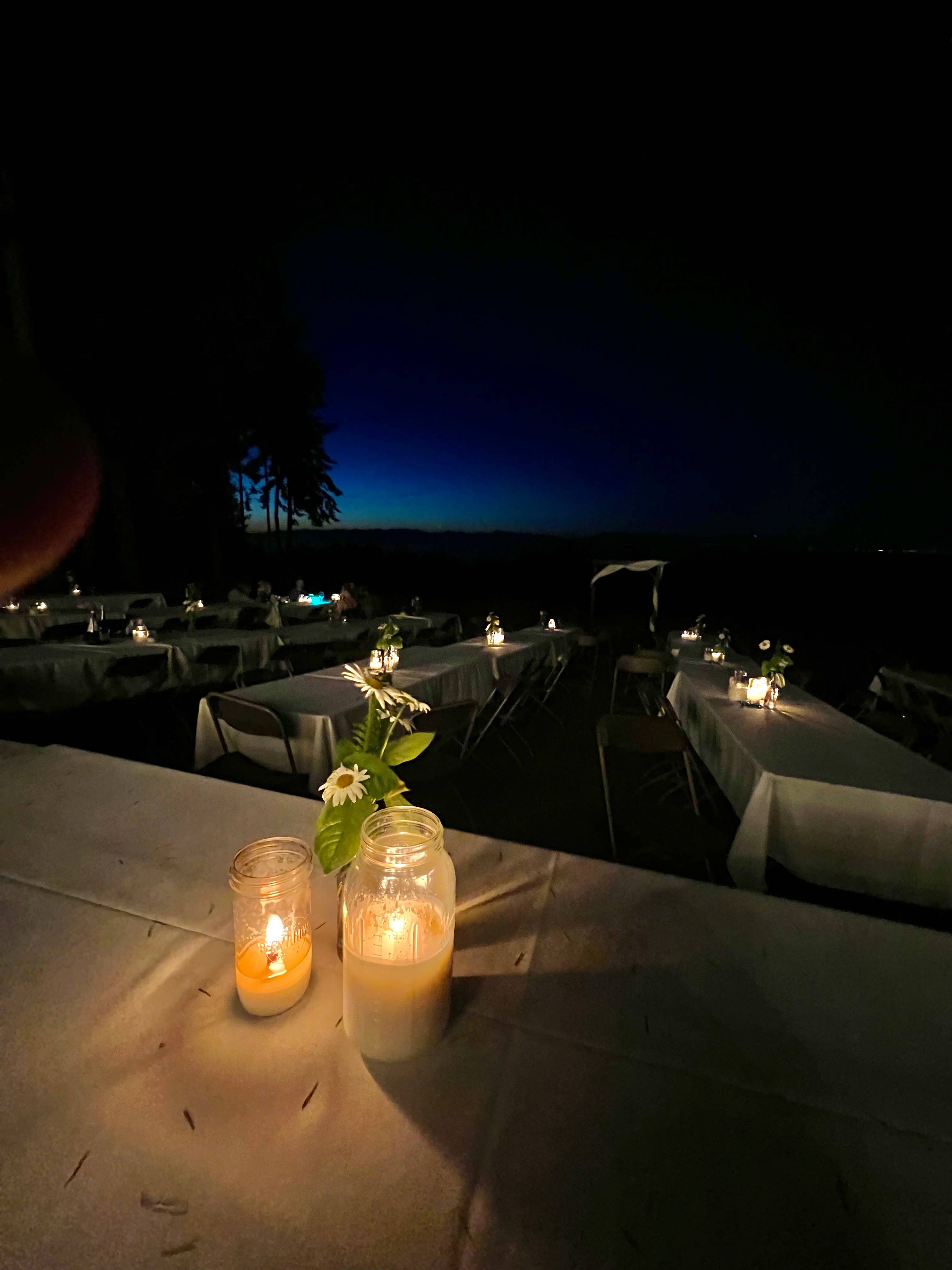 Philodendron and Fern Co. - Wholesale Jar/Filled Candle - One of a Kind Finds Candle9