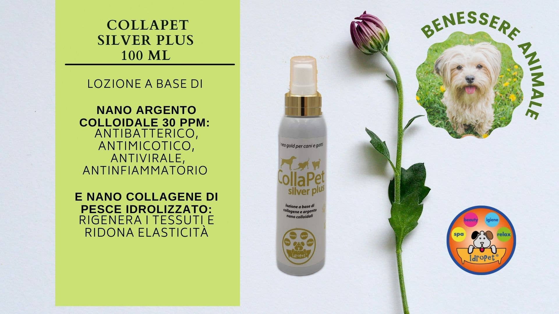 Idropet - Wholesale Pet Grooming Set - Dog - Pet Welfare Gift Box4