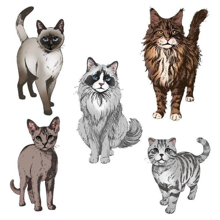 Paws & Purrs - 4x5 Rubber Cling Stamp Set for wholesale by Honey Bee Stamps