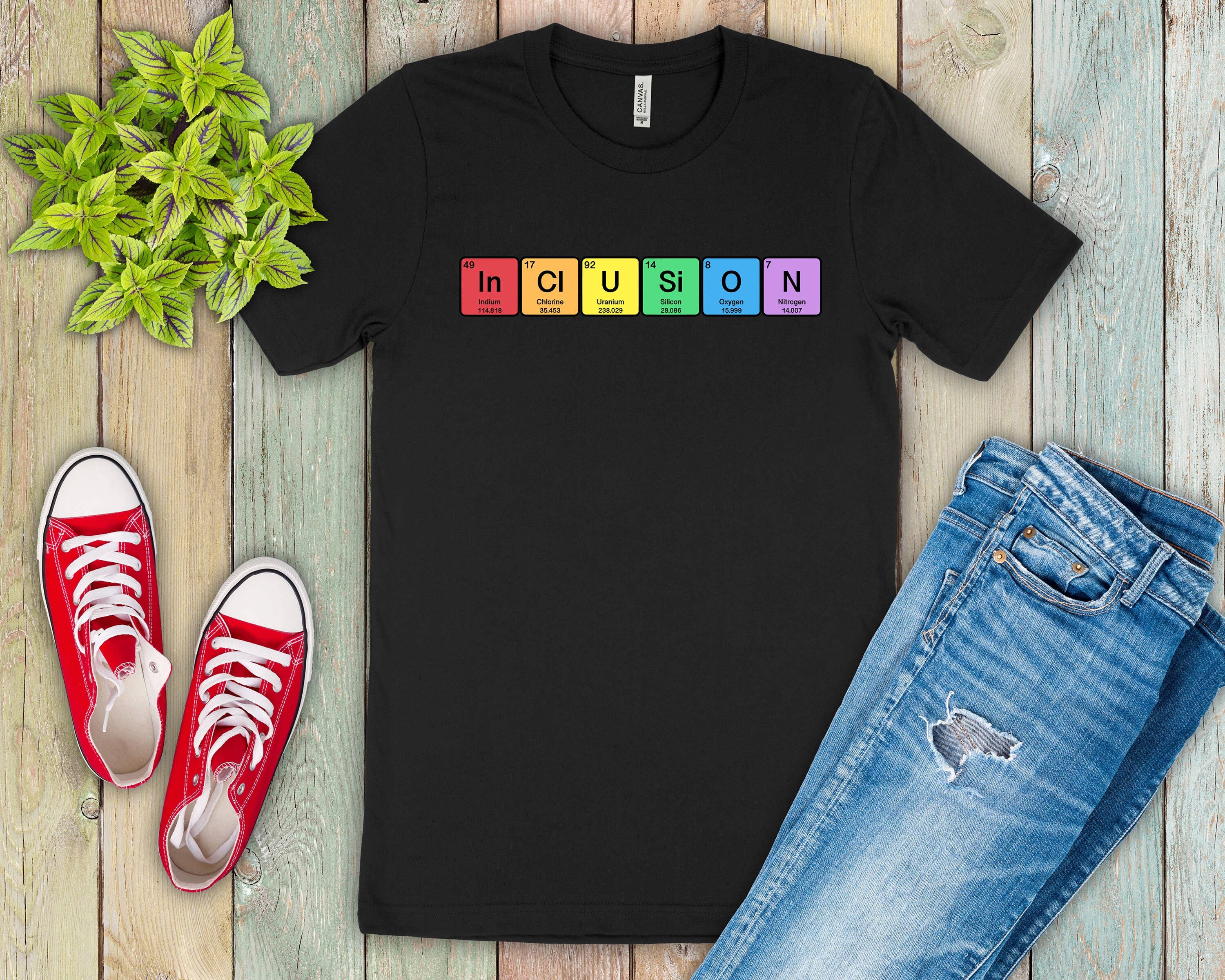 Science & Snark - Wholesale Screen Printed T-Shirt - Women's - The Elements of Inclusion0