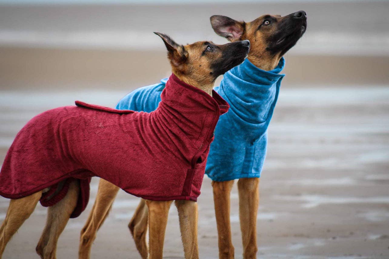 Jaegr l DOGWEAR – wholesale Pet towel –Dog – Jaegr Drying Towel5