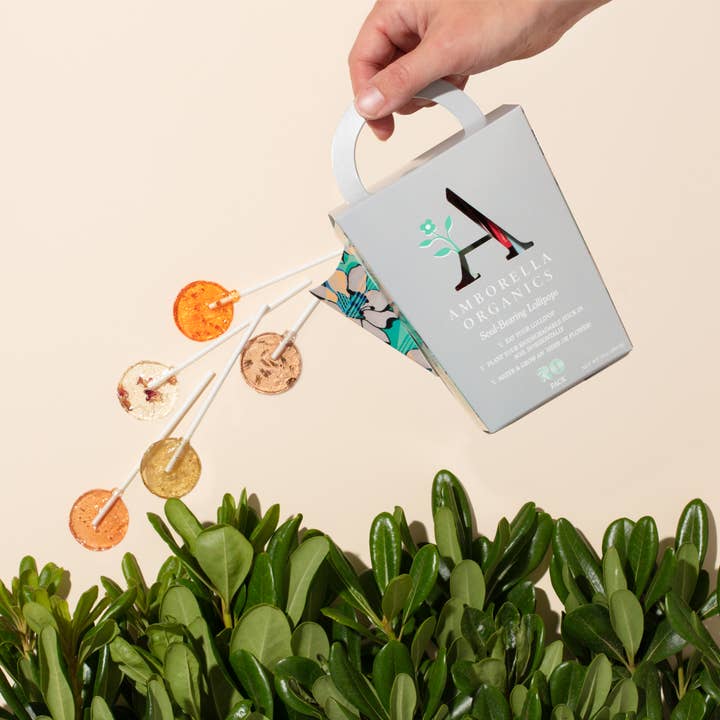 Amborella Organics - Wholesale Lollipop - Watering Can-Dy 20 Pack (Eat, Plant & Grow a Herb/Flower)6
