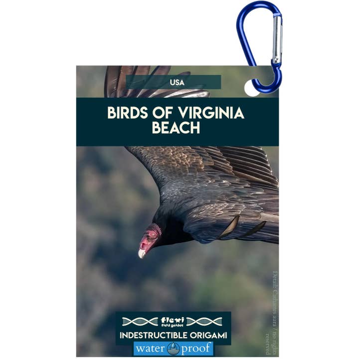 Birds of Virginia Beach-Indestructible Origami for wholesale by Flexi Field Guides