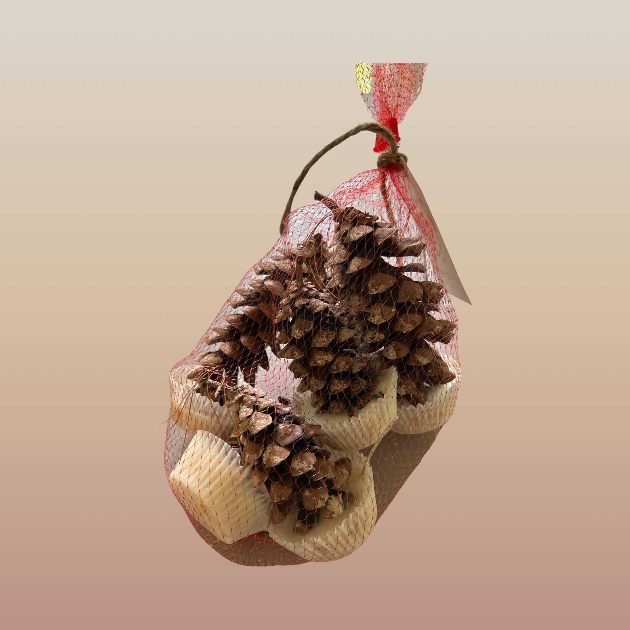 Plant Life - Wholesale Fire Pit - Pinecone Fire Starters