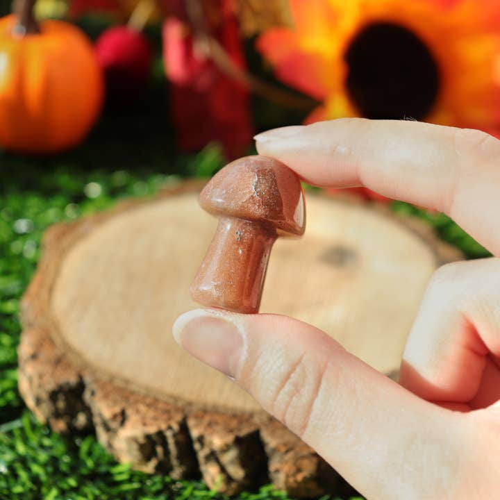 Natures Artifacts Inc - Wholesale Spiritual Stone/Crystal - Red Aventurine Mini Mushroom3