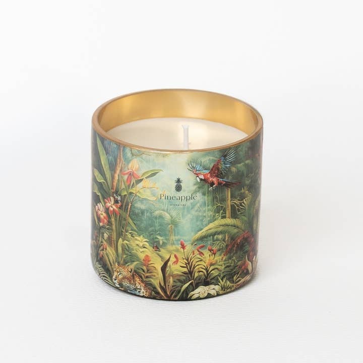 PINEAPPLE SIGNATURE - Wholesale Jar/Filled Candle - 100% Vegetable Wax Scented Candle - Wild Life Decor