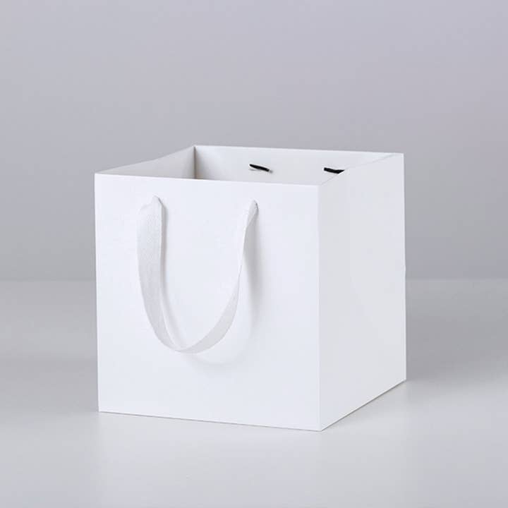 ByHome - Wholesale Gift Bag - All White Square Cotton Handle Paper Gift Bag w/ free tissue