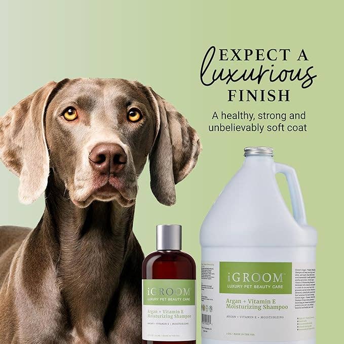 iGroom - Wholesale Pet Shampoo - Dog - Argan + Vitamin E Moisturizing Shampoo 16oz4