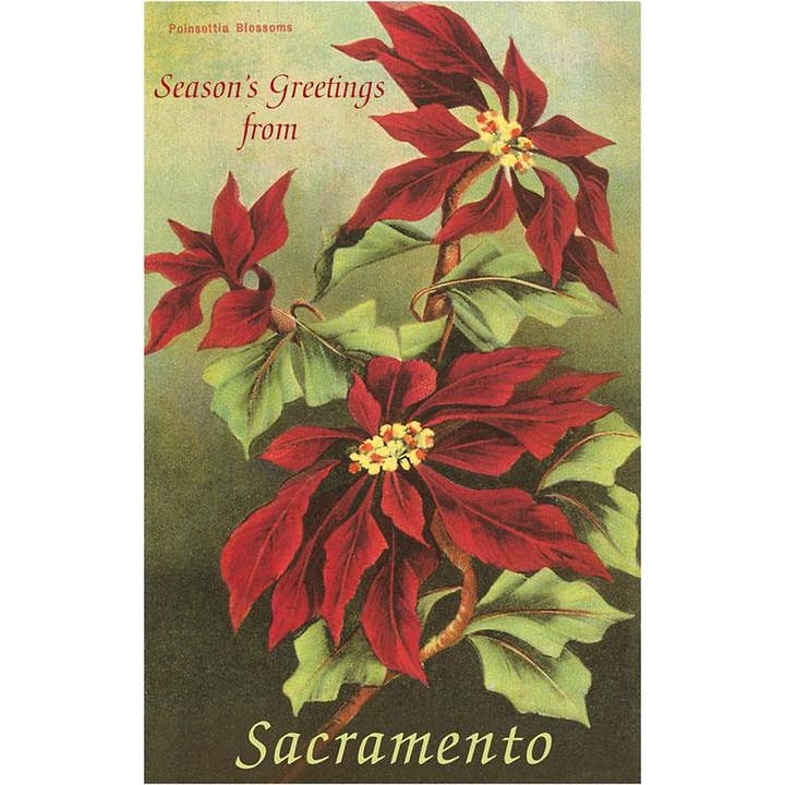 Cartão de Boas Festas CC-82 Saudações Sazonais de Sacramento por atacado de Found Image Press