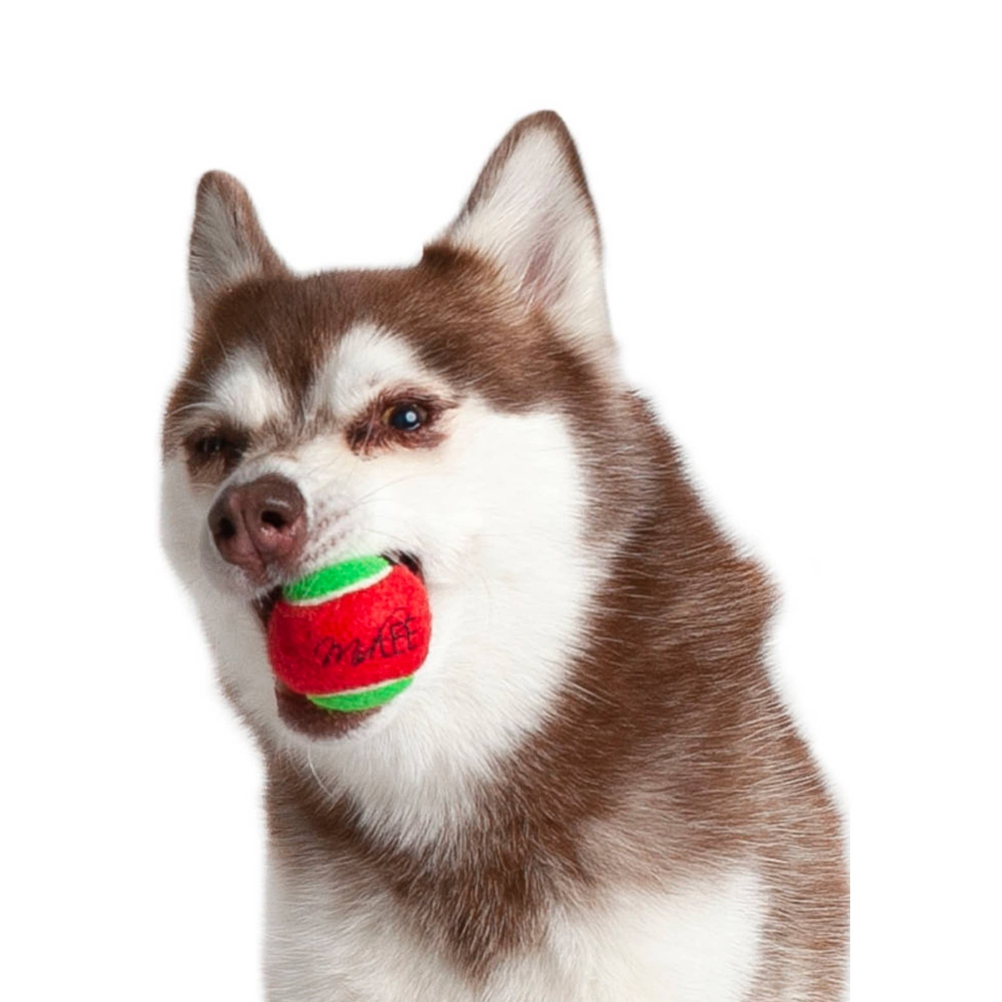 Midlee Designs - Wholesale Pet Fetch Ball - Dog - Midlee Merry Christmas Dog Tennis Balls10
