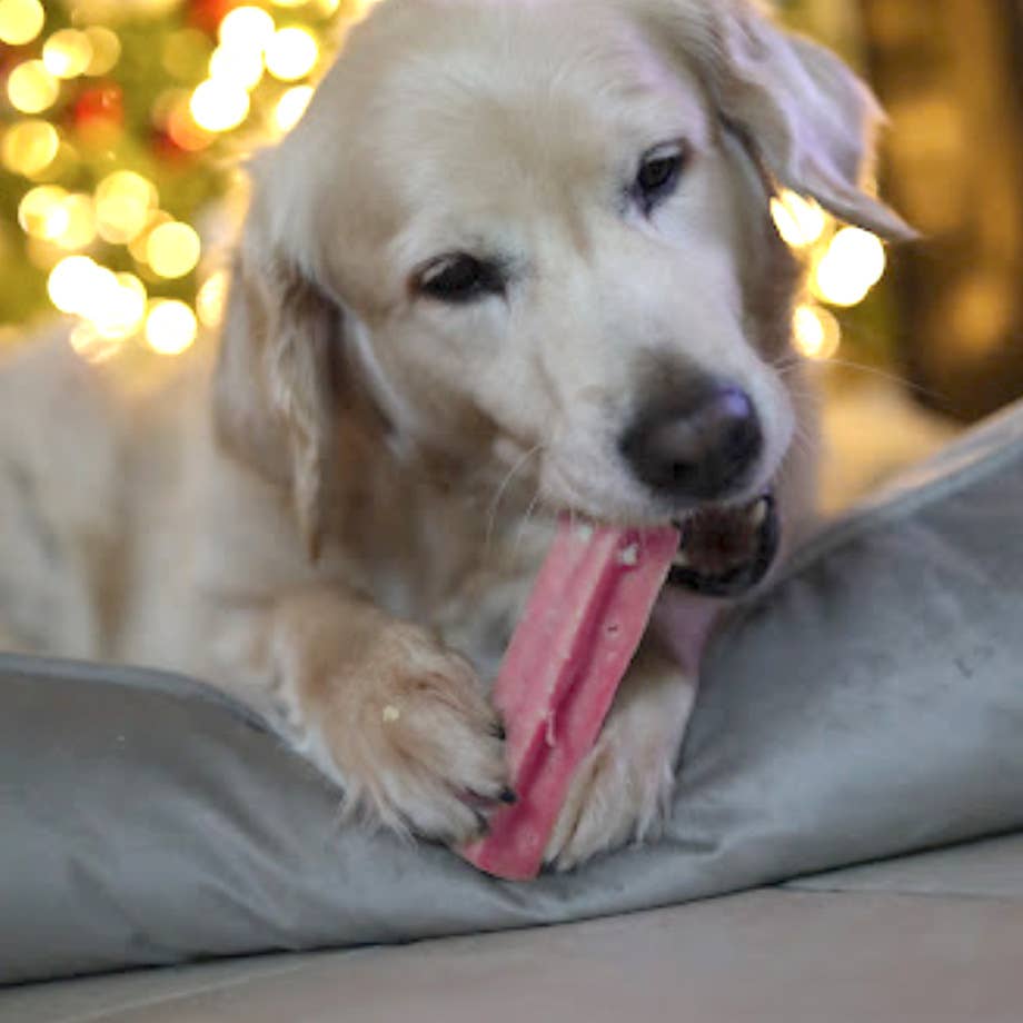 United Pet Brands - Wholesale Pet Treats - Dog - Himalayan Dog Chew Strawberry 3 pcs of 25g3