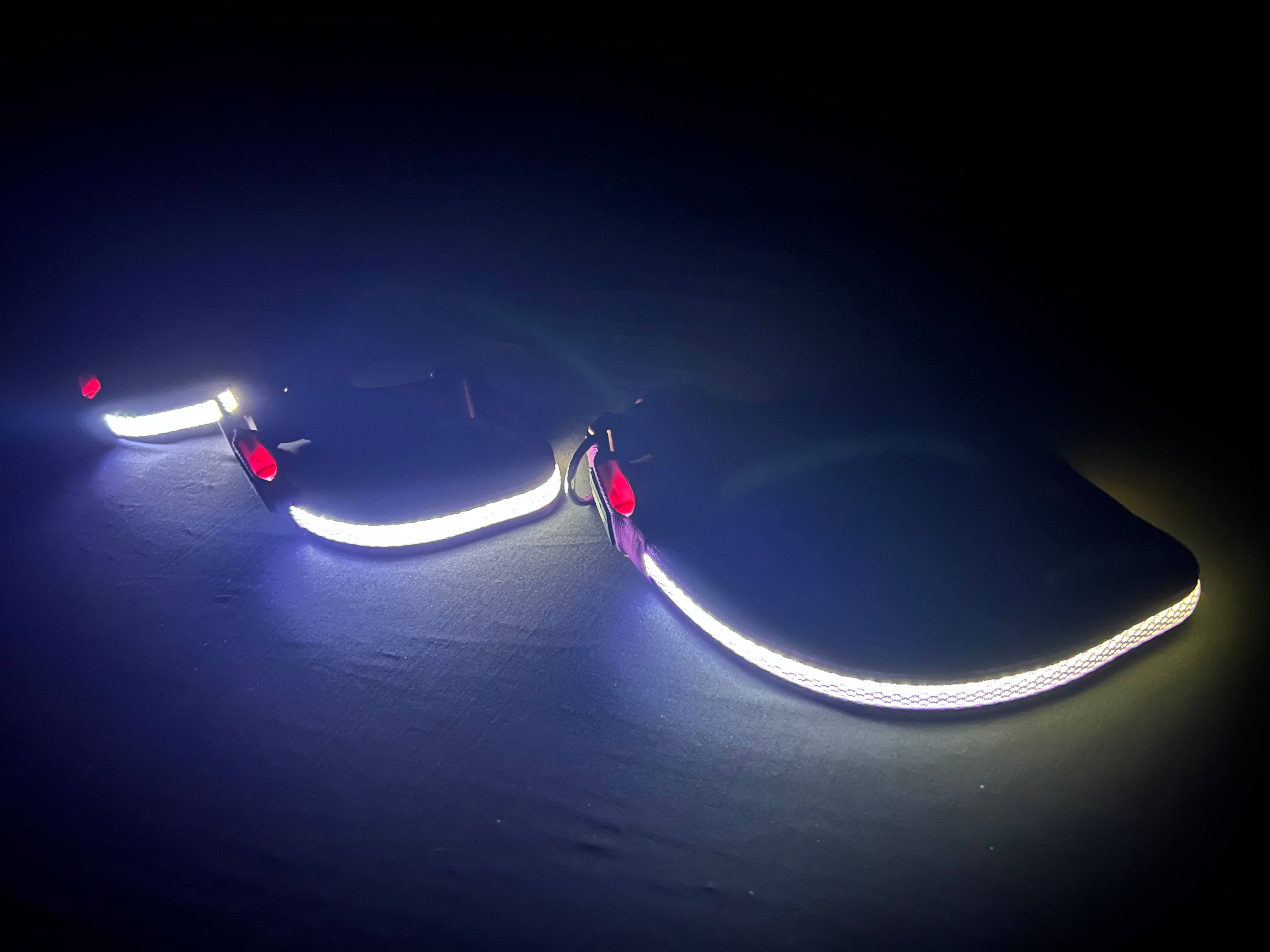 K-9ightLights L.L.C. - Wholesale Pet Collar - Dog - K-9ightLights LLC Pet Supplies Best Light Up LED Dog Collar6