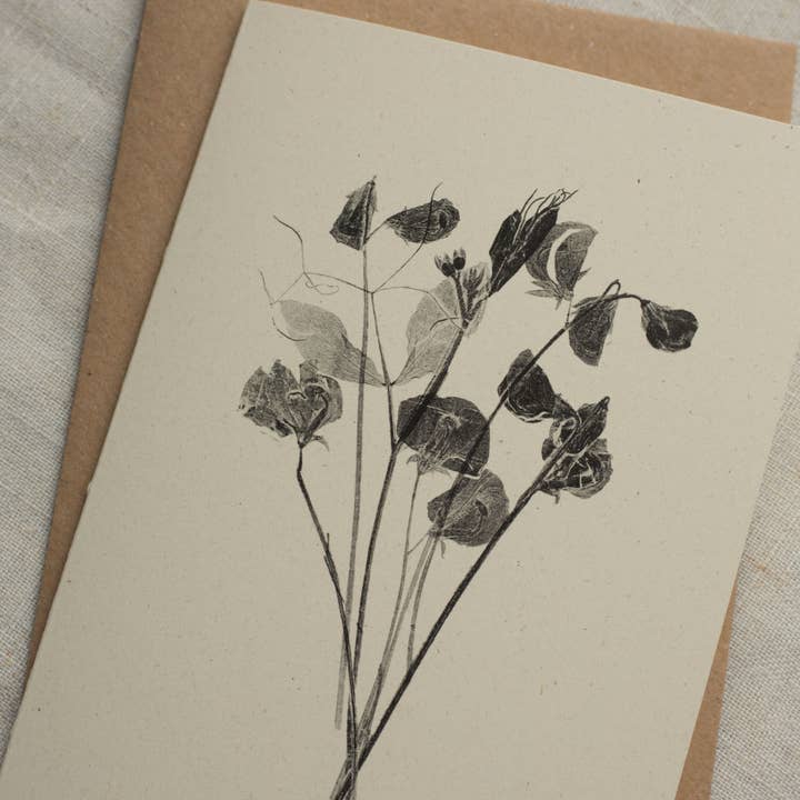 Alicia Breakspear - Wholesale Everyday Greeting Card - Sweet Peas Flower Greeting Card A6 Recycled Card 4