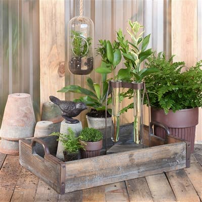 HomArt - Wholesale Decorative Figurine - Perched Bird, Cast Iron - Brown3