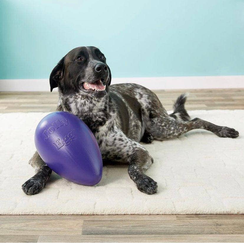 Rover Pet Products - Wholesale Pet plush toy – Dog - Jolly Egg0