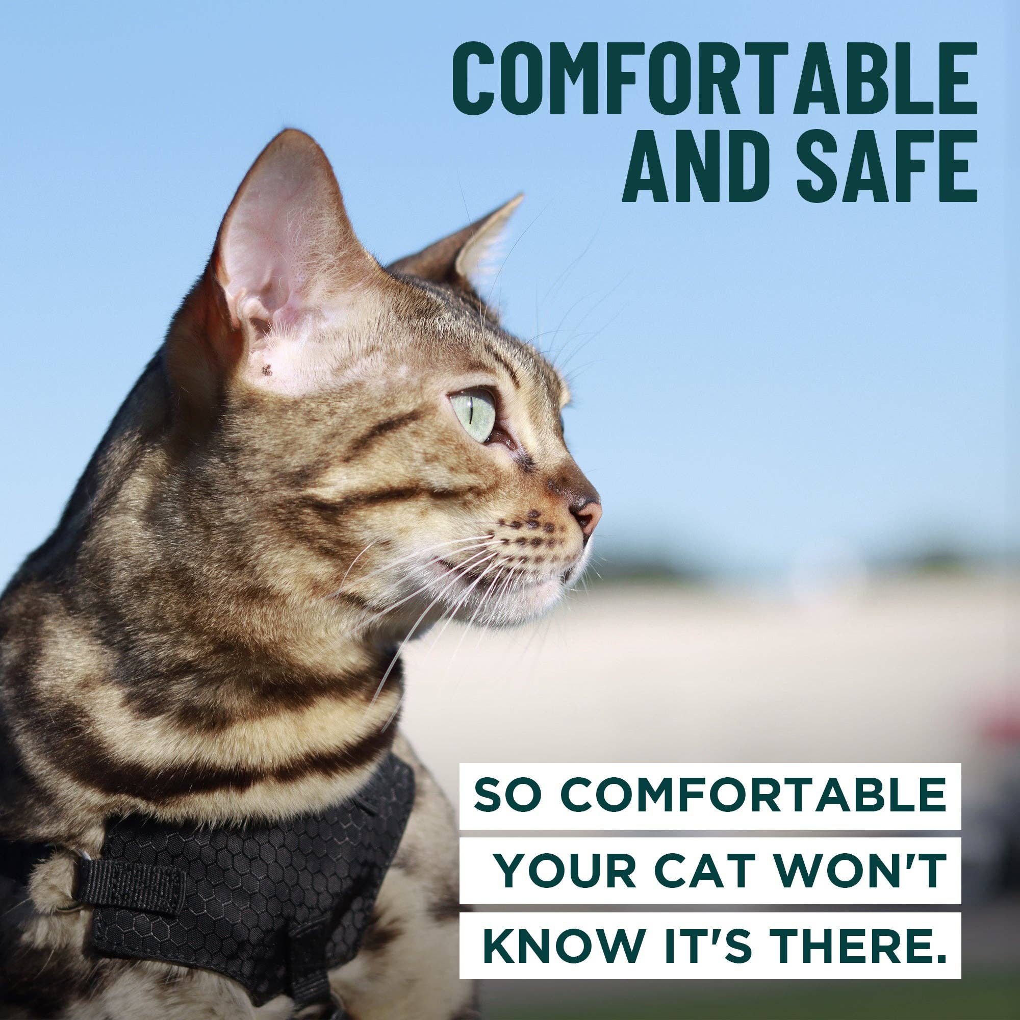 Outdoor Bengal – wholesale Sele - Katt – Houdini™ katträdsel som förhindrar rymning7