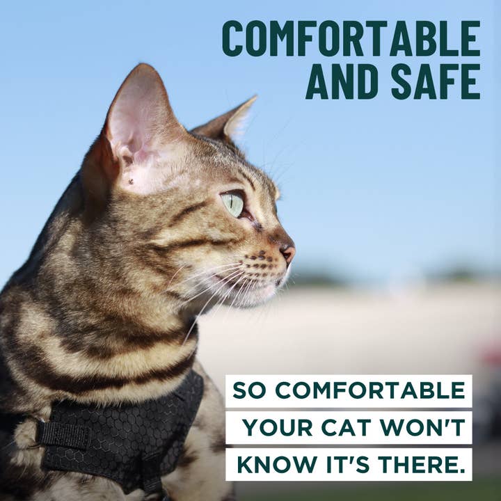 Outdoor Bengal – wholesale Sele - Katt – Houdini™ katträdsel som förhindrar rymning7