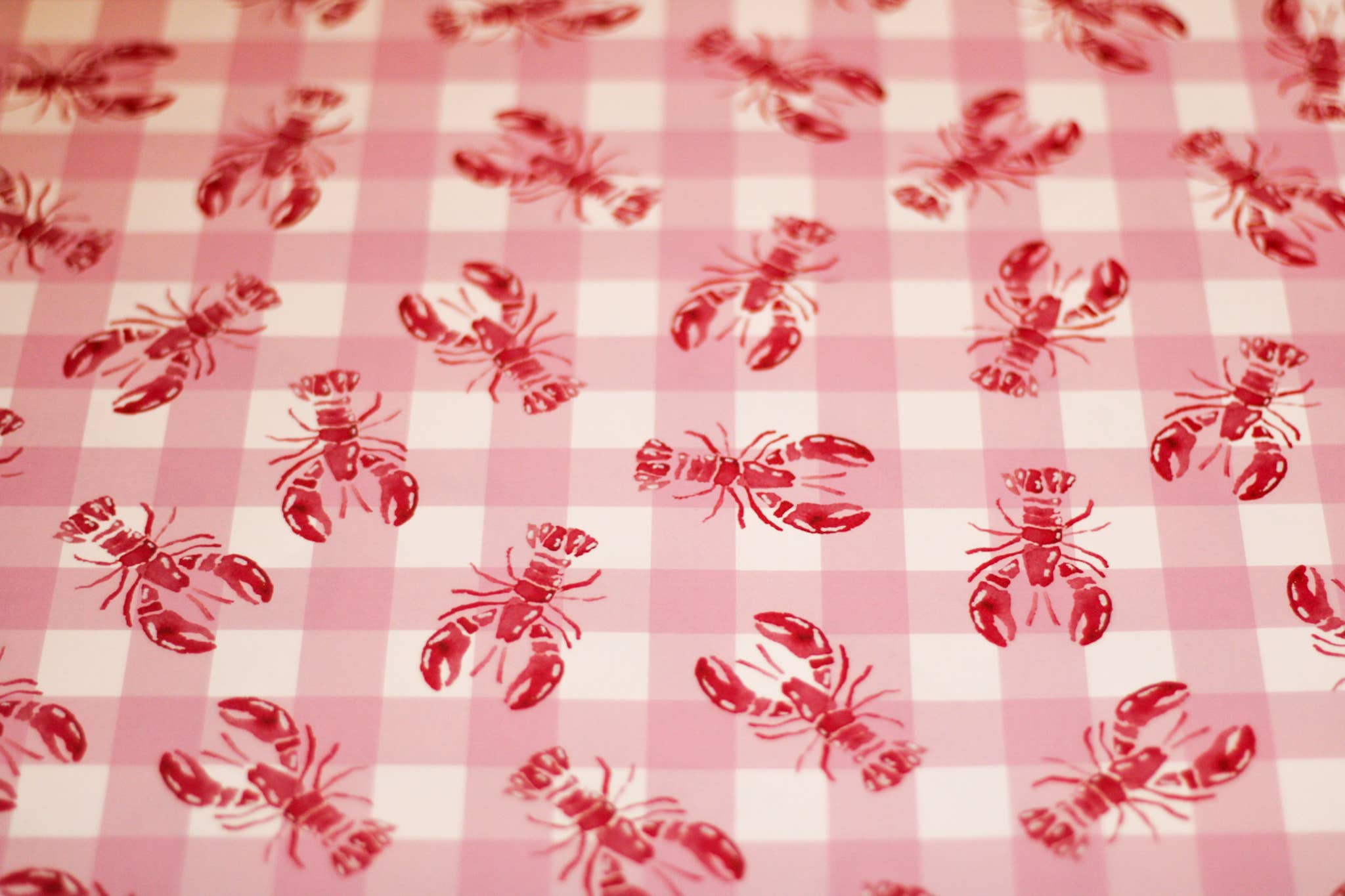 Scribbles and Doodlez - Wholesale Flat Wrap - Pink Gingham + Red Lobster | Watercolor Wrapping Paper Sheet1