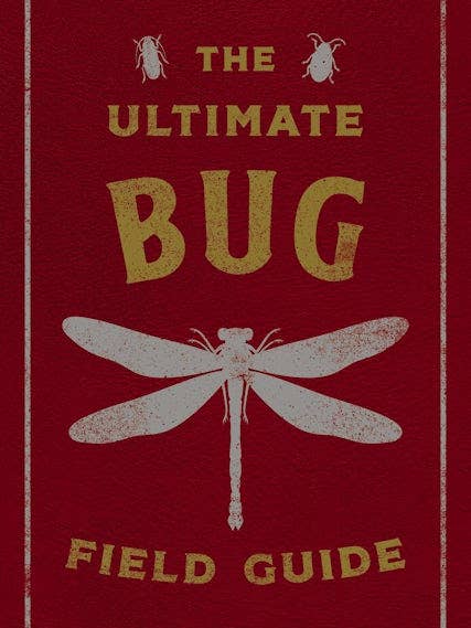 Ultimate Bug Field Guide Illustrated by Julius Csotonyi for wholesale by HarperCollins Focus