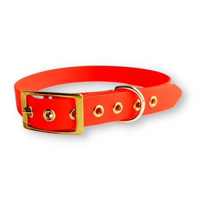 Waterproof Coated Webbing Dog Collar - Neon Red for wholesale by Bloom Paws
