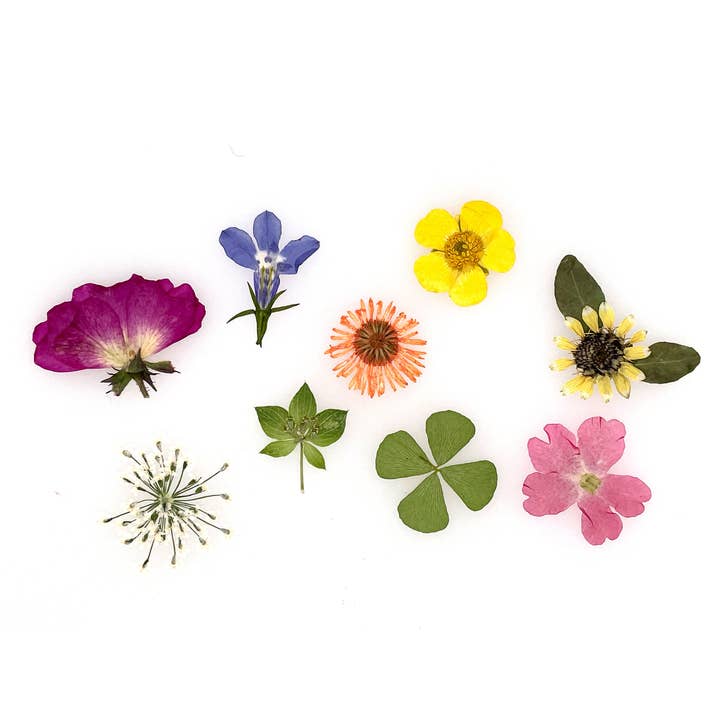 Jewelry Made by Me - Wholesale DIY Craft Kit - Mini Dried Flower Resin Inclusions
