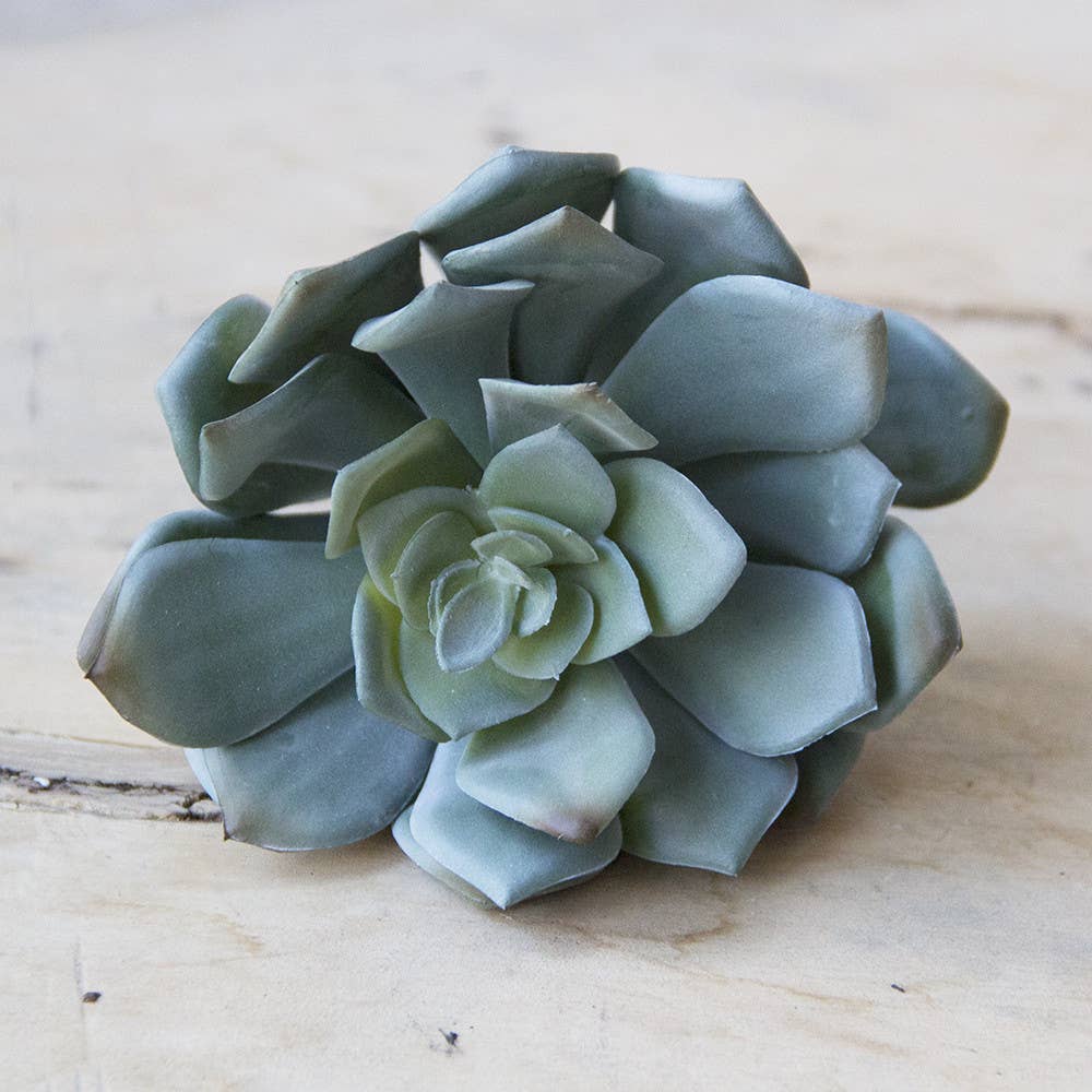 Chive - Wholesale Artificial Plant - Faux Succulent Terrarium Kit | Boho Home Decor Gift  SALE13