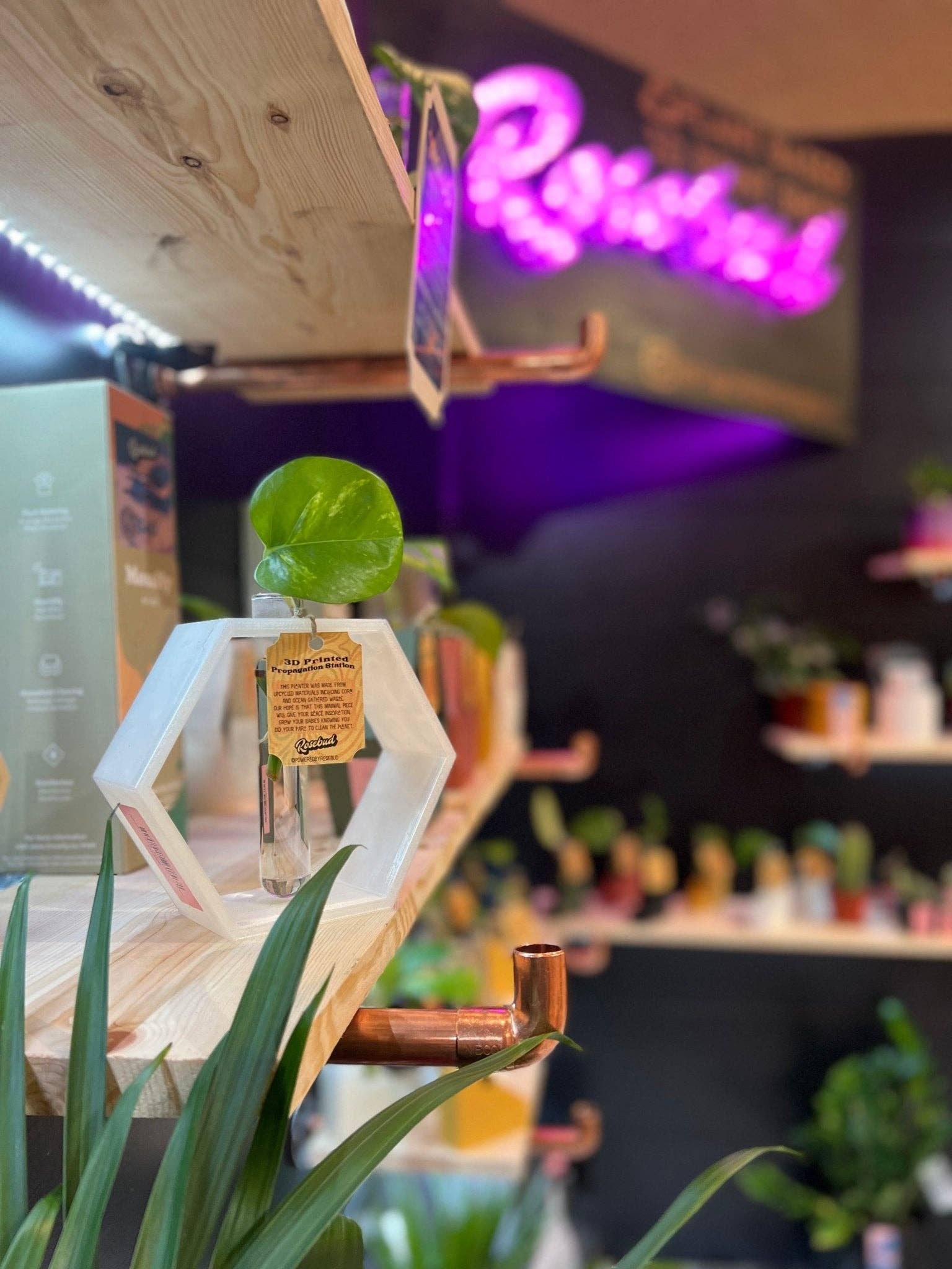 Rosebud Homegoods - Wholesale Plant Pot Stand - Hexagon Propagation Station2