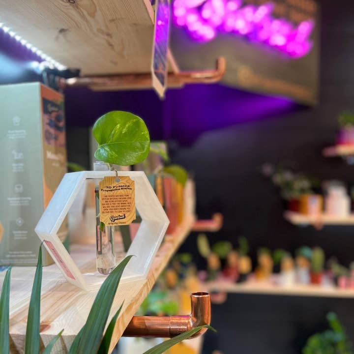 Rosebud Homegoods – wholesale Plant pot stand – Hexagon Propagation Station2