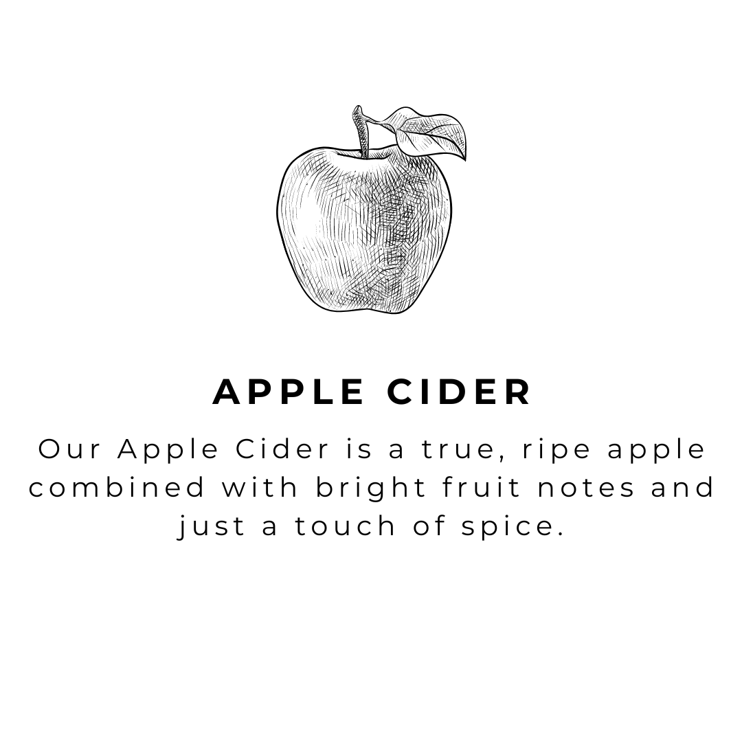 River Birch Candles - Wholesale Hand Soap/Wash - Apple Cider - 16 oz Amber Glass Soap - Handmade - Hand Wash6