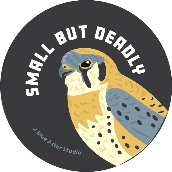 Rextooth Studios - Wholesale Lapel Pin/Button - Kestrel Bird Button, "Small but Deadly"1