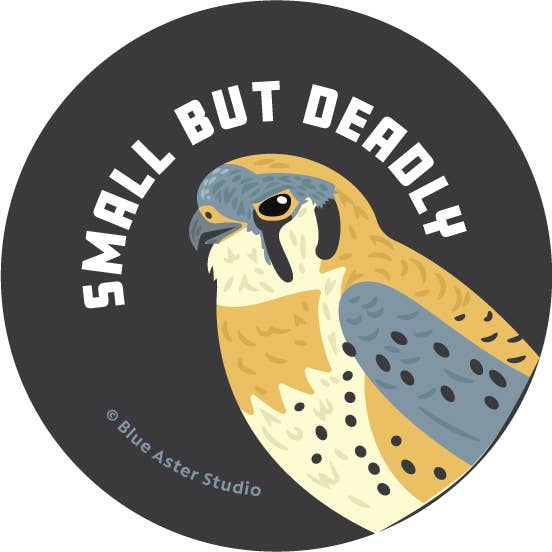 Rextooth Studios - Wholesale Lapel Pin/Button - Kestrel Bird Button, "Small but Deadly"1