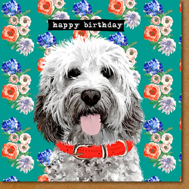 Sally Scaffardi Design – wholesale Birthday card – PA001 ... Cockerpoo Birthday Card1
