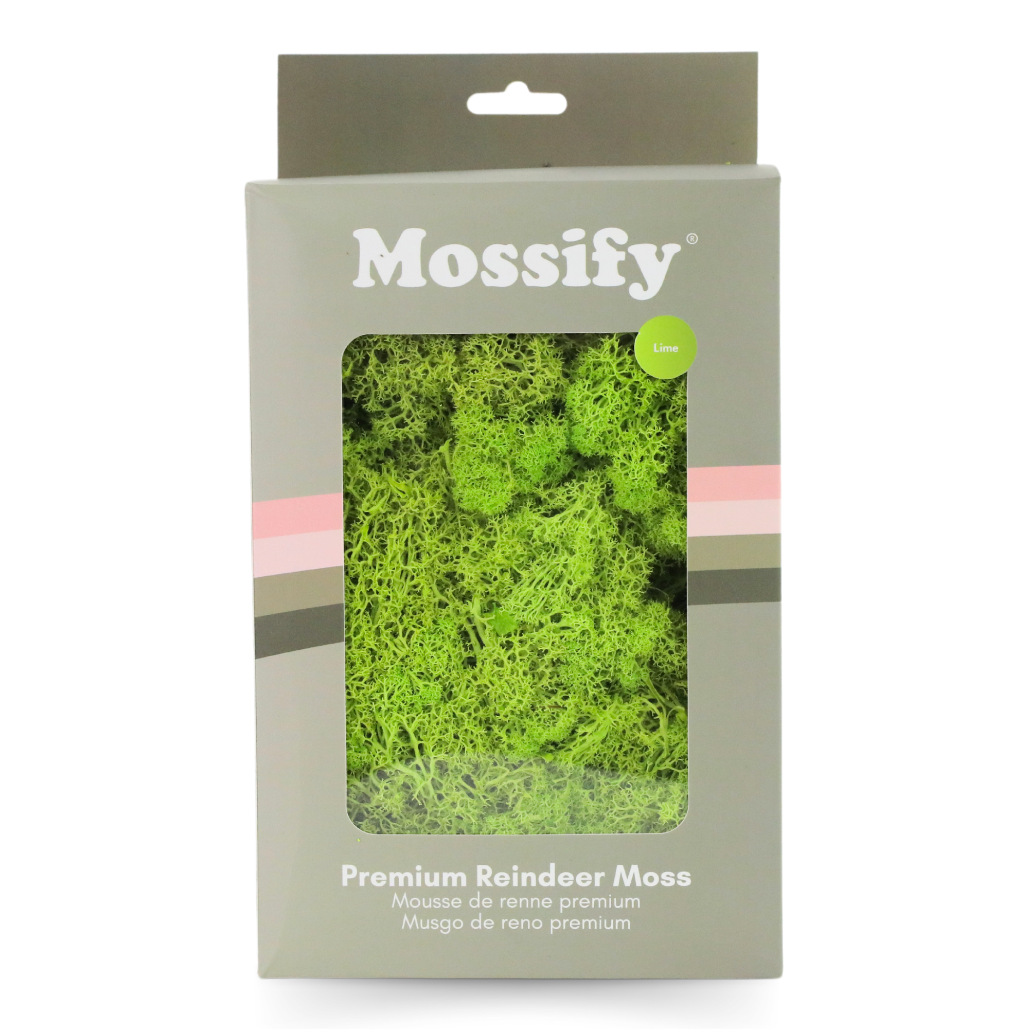 Mossify - Wholesale Live Plant - Premium Preserved Reindeer Moss – Colorful Decorative Mix6