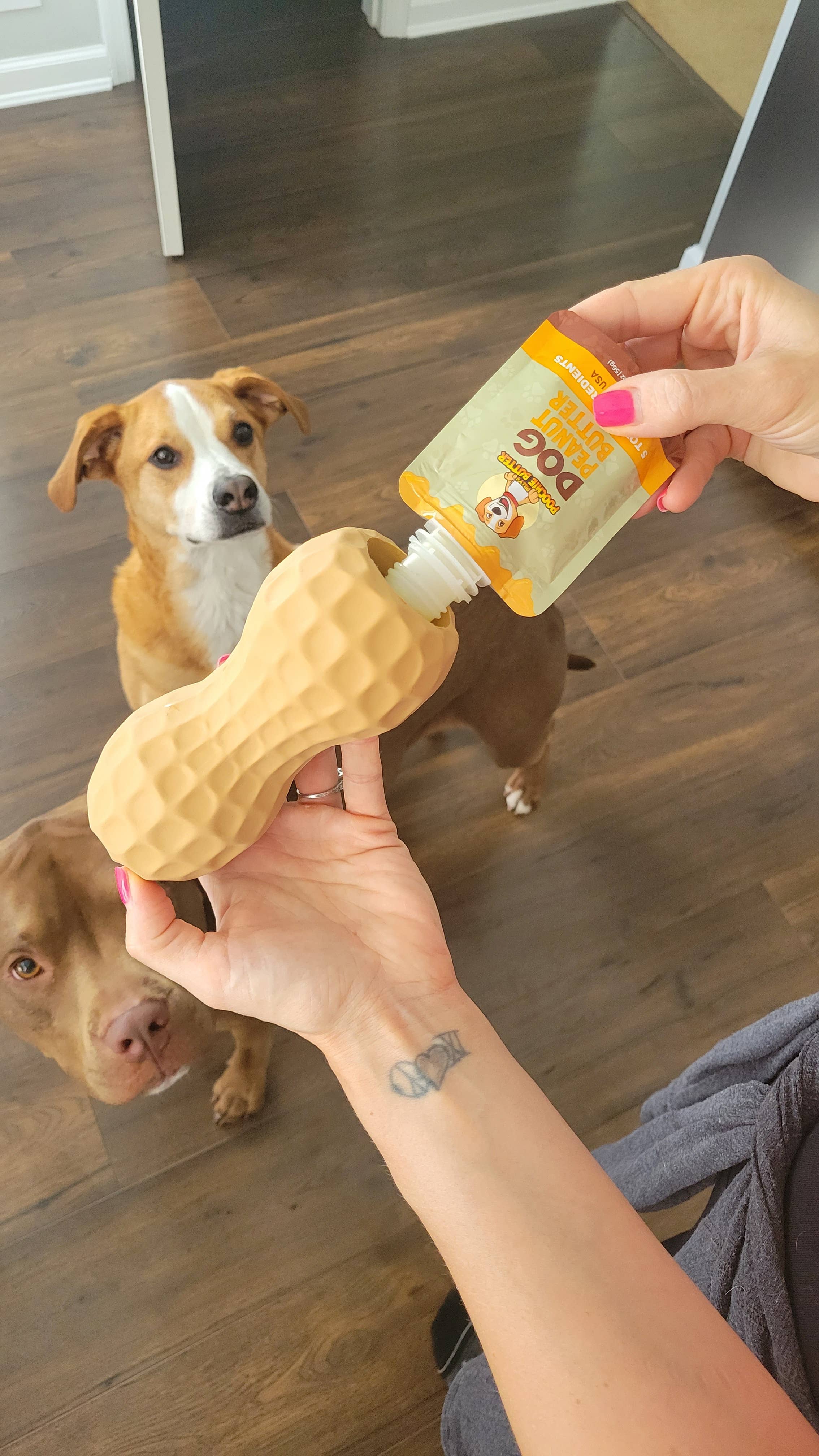 Poochie Butter - Vente Friandises – chien - Pack de purée de citrouille et beurre de cacahuète pour chien 57g4