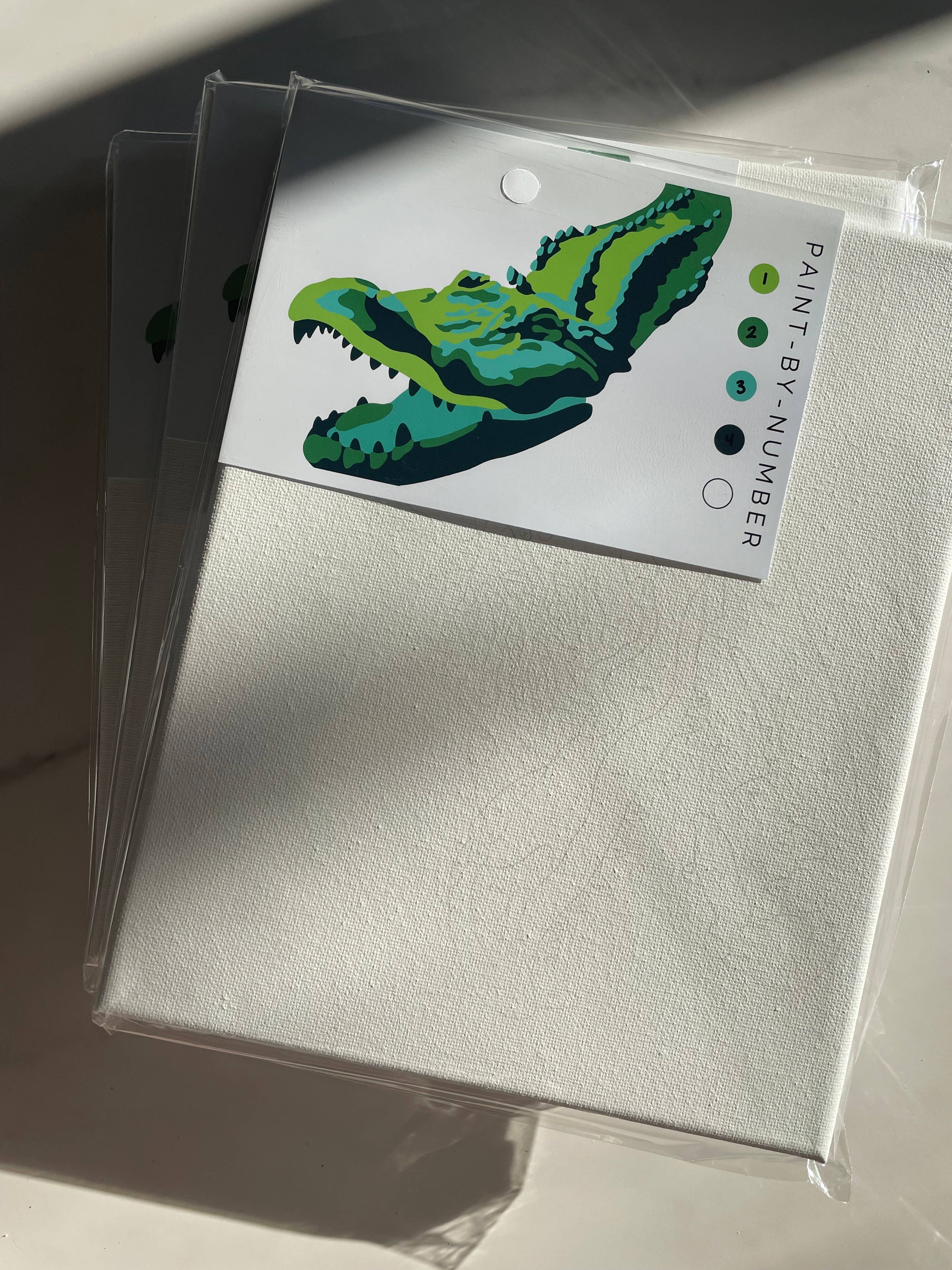 Fundenberger Studio - Wholesale DIY Craft Kit - Crocodile Paint-By-Number2