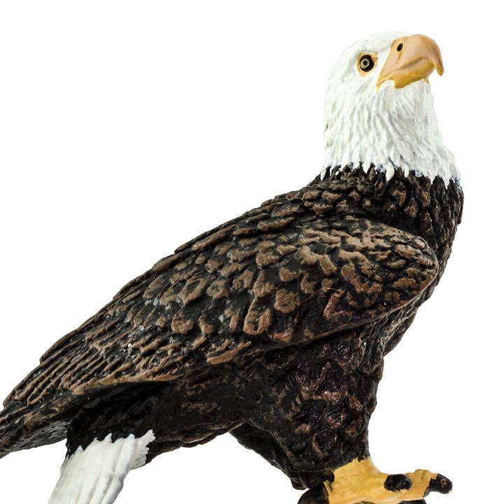 Safari Ltd. - Wholesale Figurine Toy - Kids - Bald Eagle Figurine Toy4