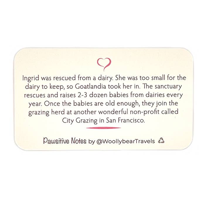 Woollybear Travels - Wholesale Stationery/Notecard Set - Pawsitive Notes- Baby Goat (Lunch Box Notes)3