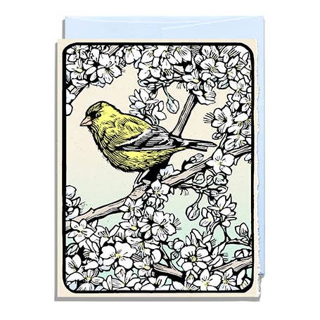 Finch doré pour la vente par Daniel Joseph Durkin Illustrations