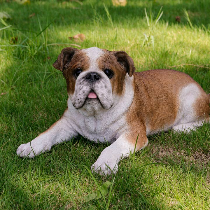 Lying Bulldog for wholesale by Hi-Line Gift Ltd.