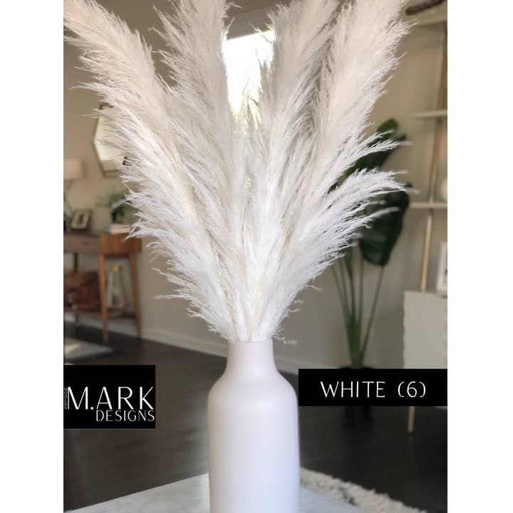 Modern Ark Designs - Wholesale Dried/Pressed Flowers - Fluffy Pampas Grass Stems Extra Large Pampas Grass